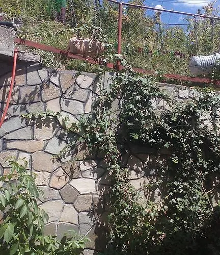 Edelvays House Gasthuis 3*