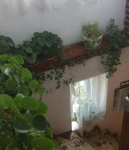 Gasthuis Edelvays House Trigrad